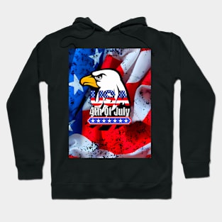 usa independence day flag Hoodie